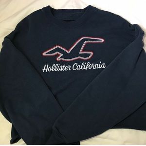 hollister sweatshirt